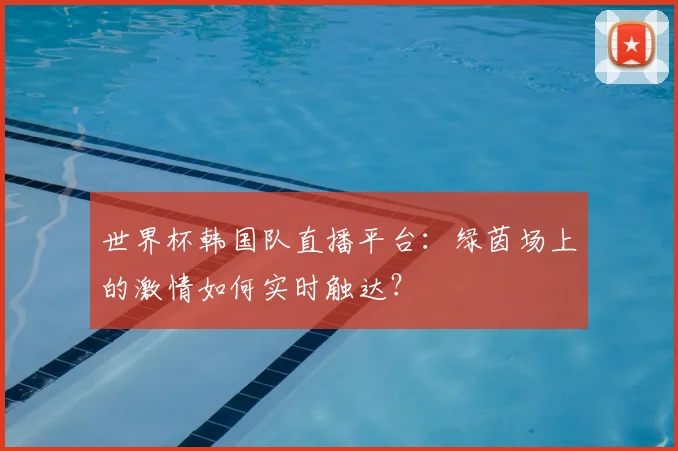 世界杯韩国队直播平台：绿茵场上的激情如何实时触达？