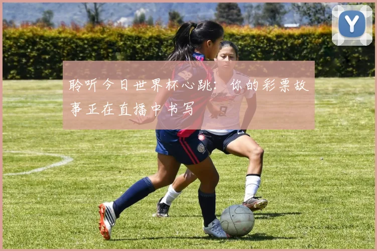 聆听今日世界杯心跳：你的彩票故事正在直播中书写
