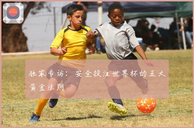 独家专访：安全投注世界杯的五大黄金法则