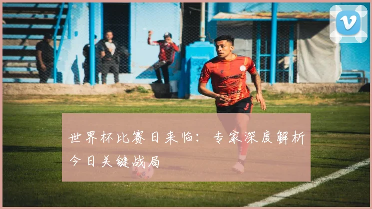 世界杯比赛日来临：专家深度解析今日关键战局
