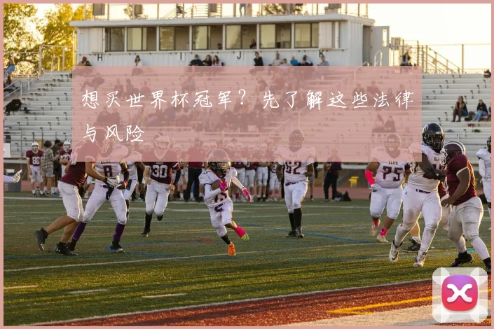 想买世界杯冠军？先了解这些法律与风险