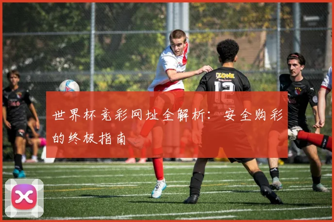 世界杯竞彩网址全解析：安全购彩的终极指南