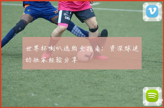 世界杯喇叭选购全指南：资深球迷的独家经验分享