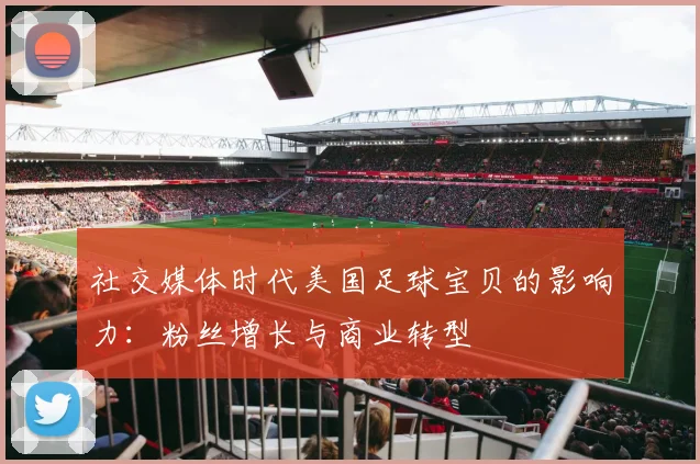 社交媒体时代美国足球宝贝的影响力：粉丝增长与商业转型