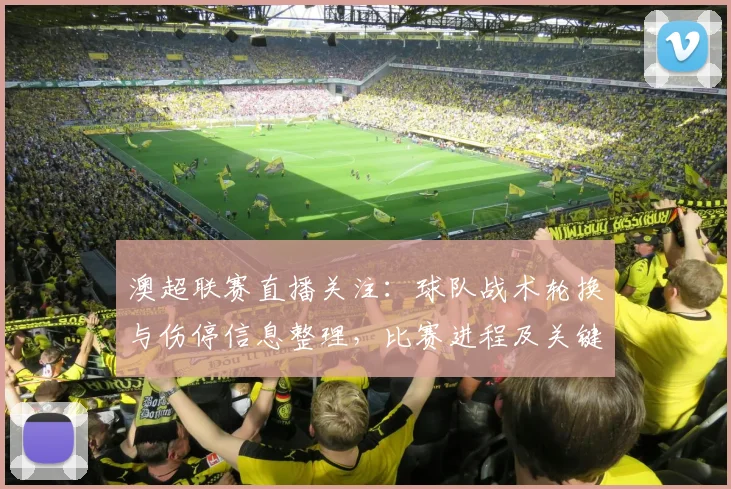 澳超联赛直播关注：球队战术轮换与伤停信息整理，比赛进程及关键球员影响分析