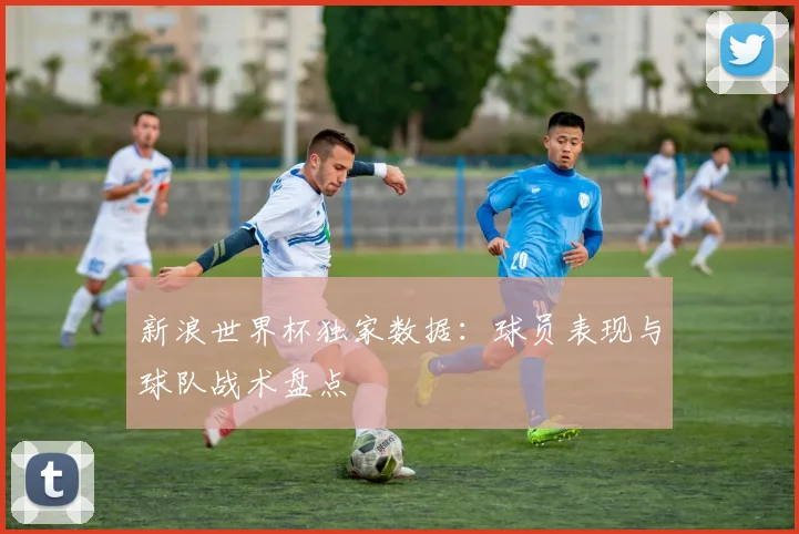 新浪世界杯独家数据：球员表现与球队战术盘点