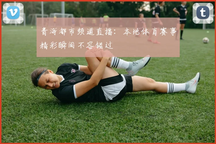 青海都市频道直播：本地体育赛事精彩瞬间不容错过